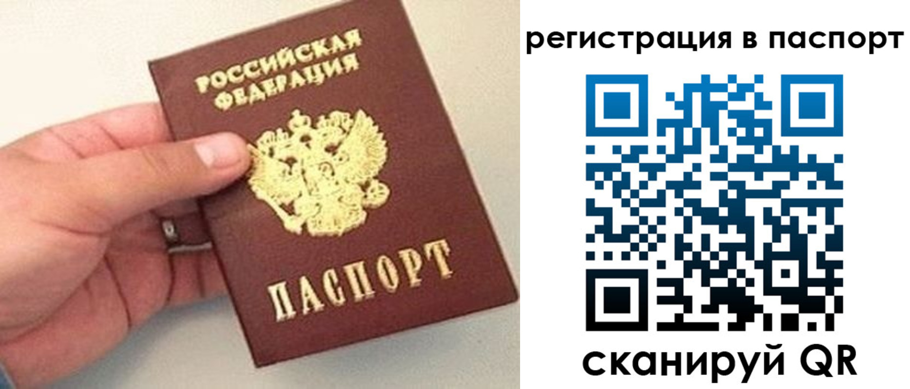 прописка законно в Фрязино